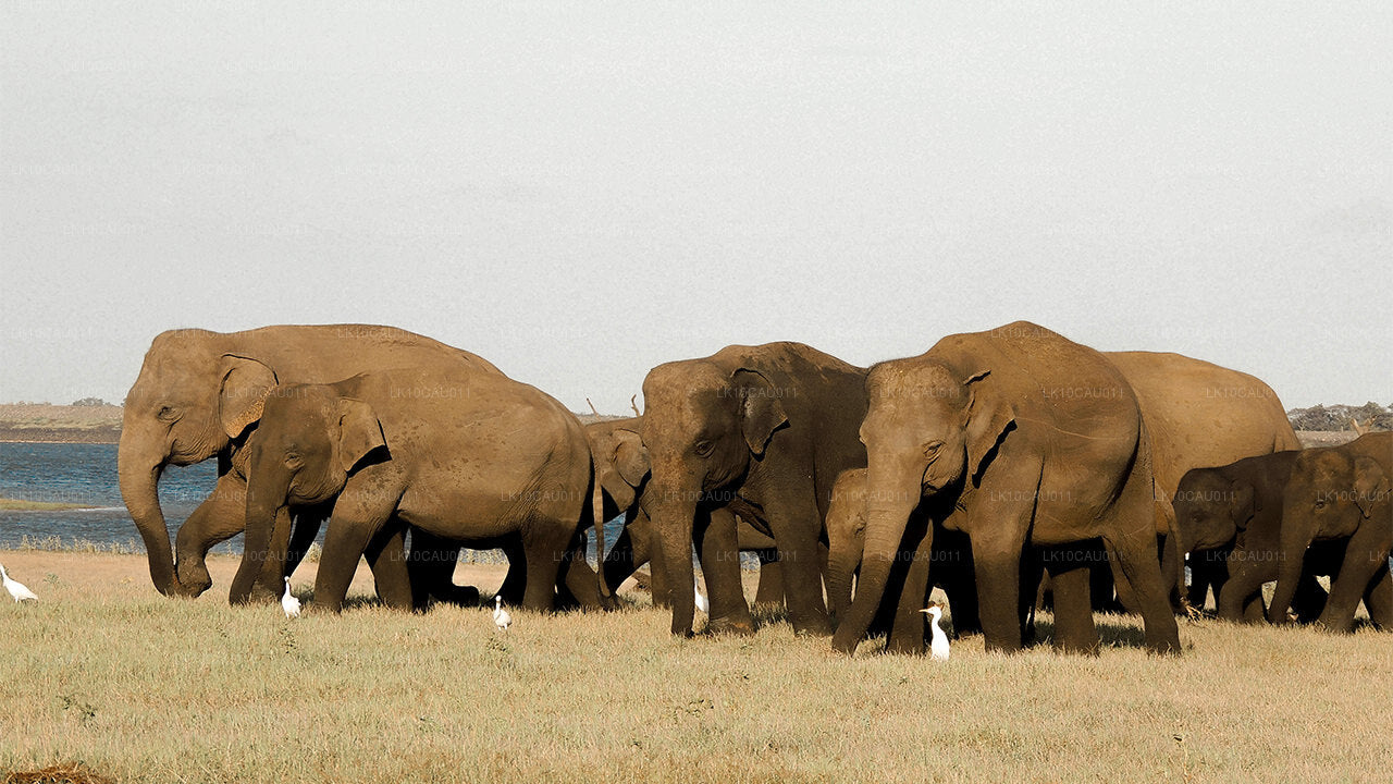 Kultur och kust (12 dagar)