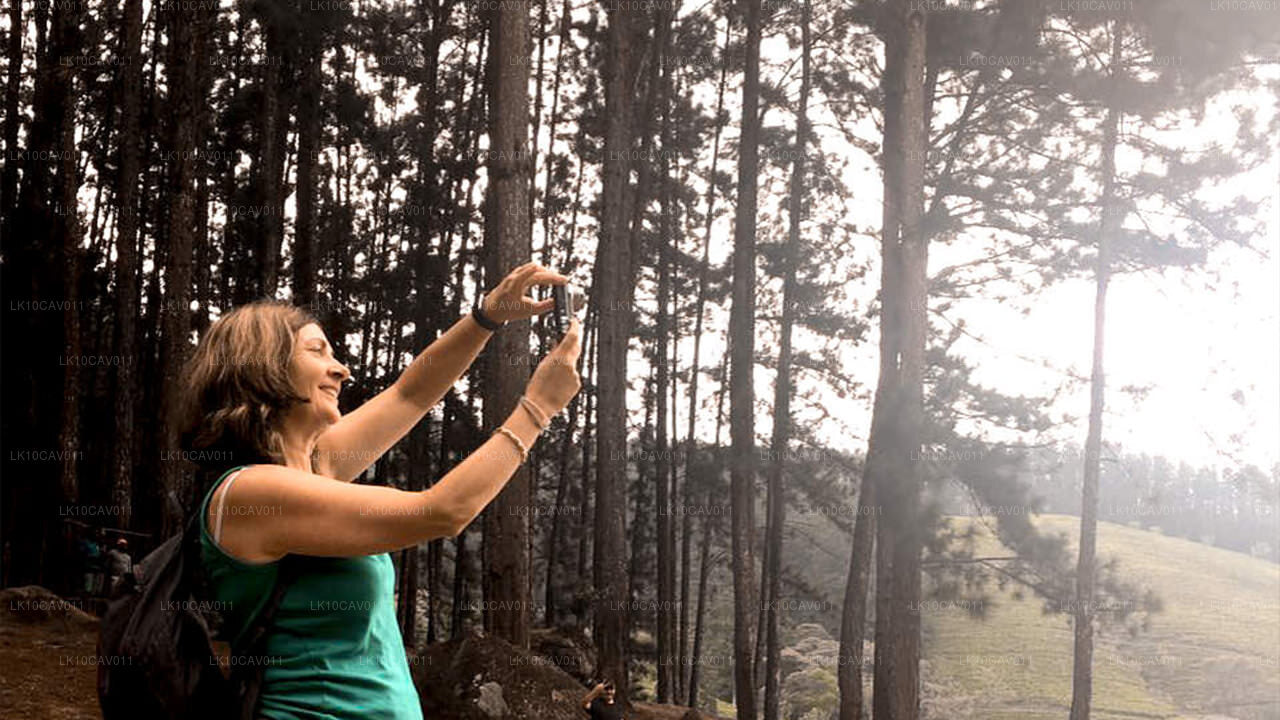 Avkoppling och äventyr (12 Dagar)