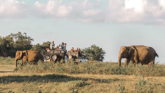 Äventyrlig öst (12 dagar)
