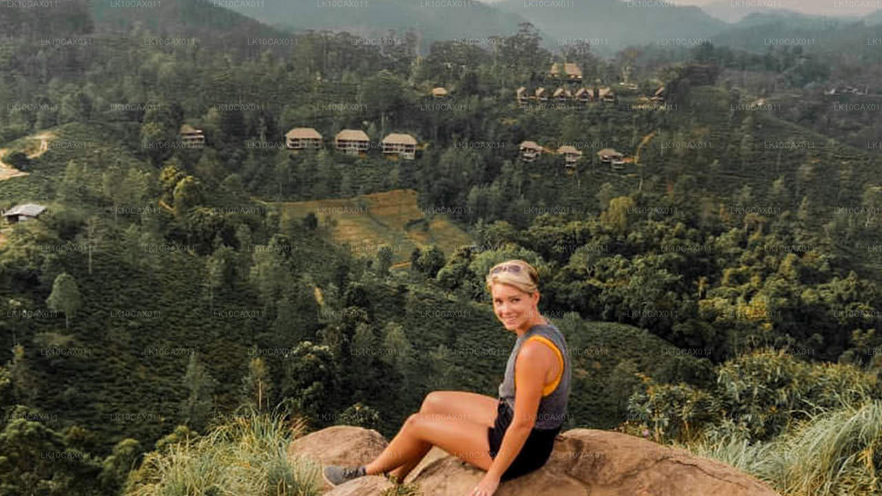 Äventyr med en twist (12 dagar)