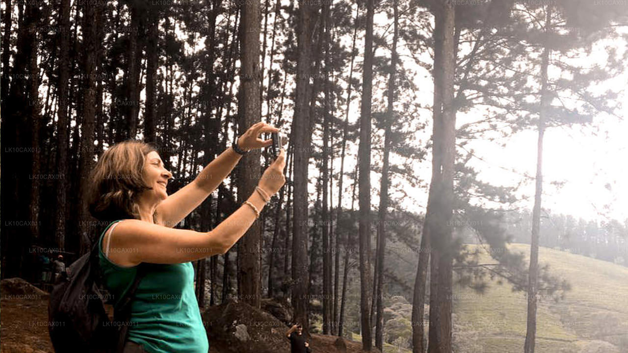 Äventyr med en twist (12 dagar)