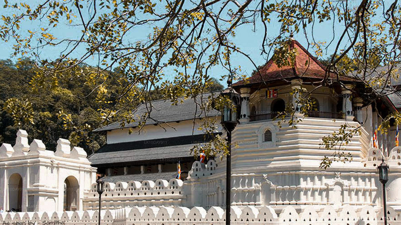 Buddhistisk pilgrimsfärdstur (13 dagar)