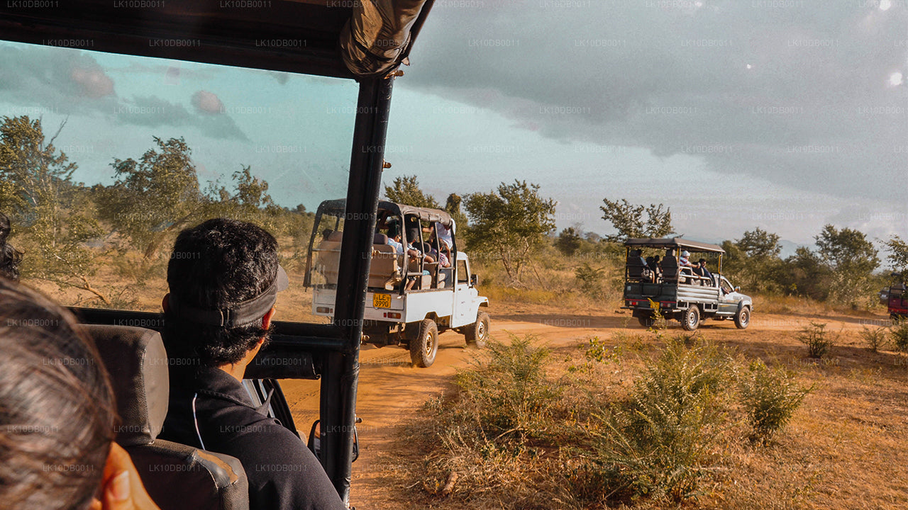 Advent Ceylon (13 Dagar)