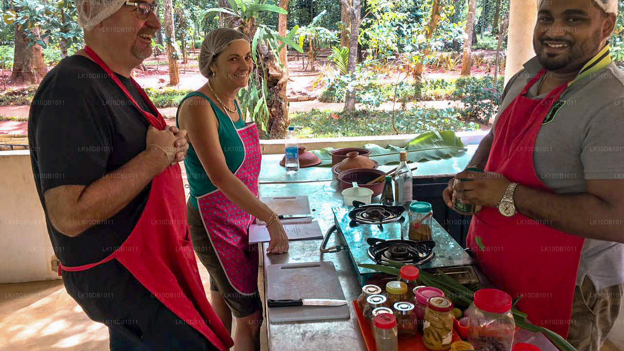 Glorious Ceylon (13 Dagar)