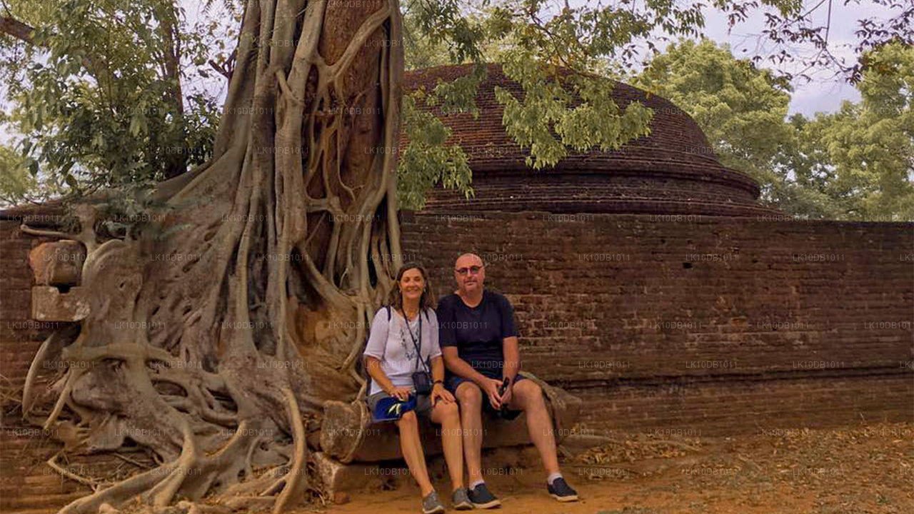 Glorious Ceylon (13 Dagar)