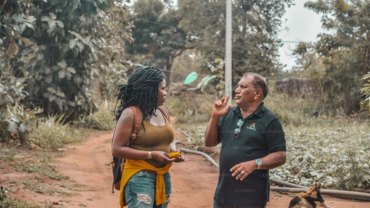 Trail Runt Ceylon (13 Dagar)