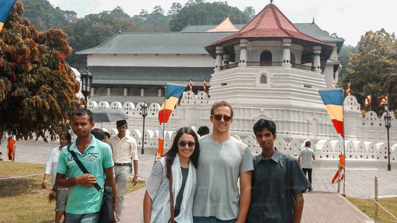 Arv och strand (14 dagar)