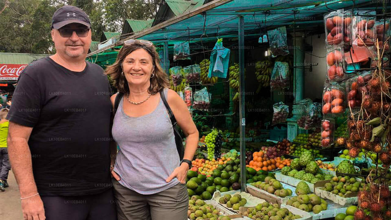 Arv och strand (14 dagar)