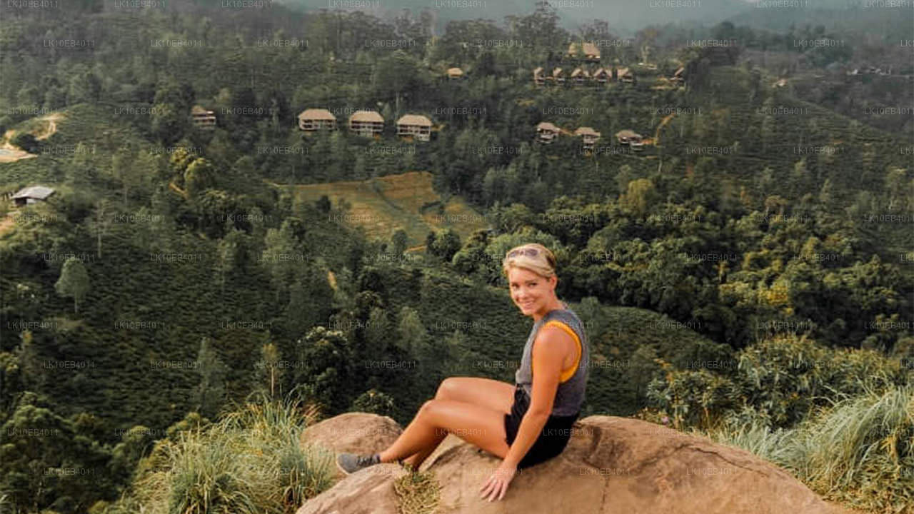 Arv och strand (14 dagar)