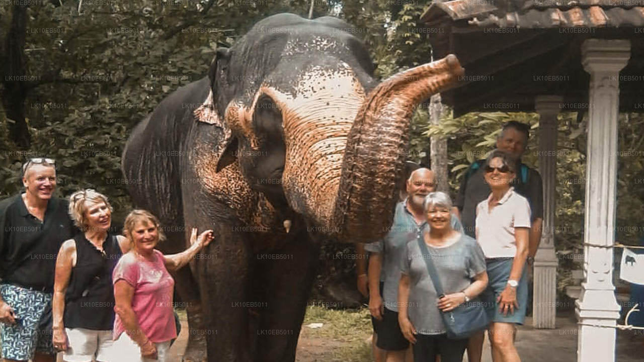 Känslan av världen (14 dagar)