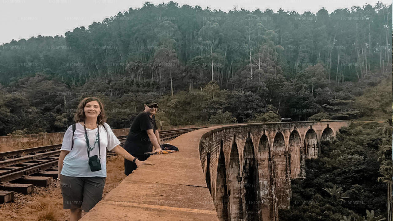 Känslan av världen (14 dagar)