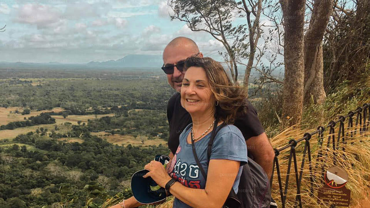 Känslan av världen (14 dagar)