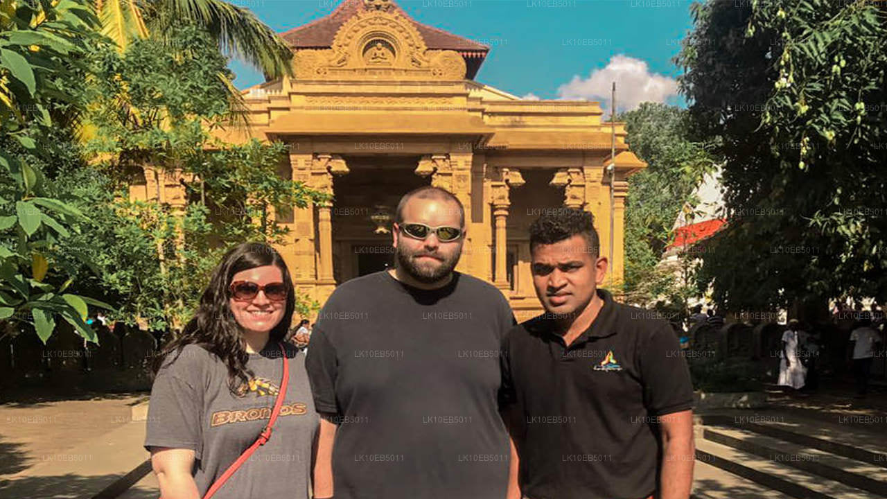 Känslan av världen (14 dagar)