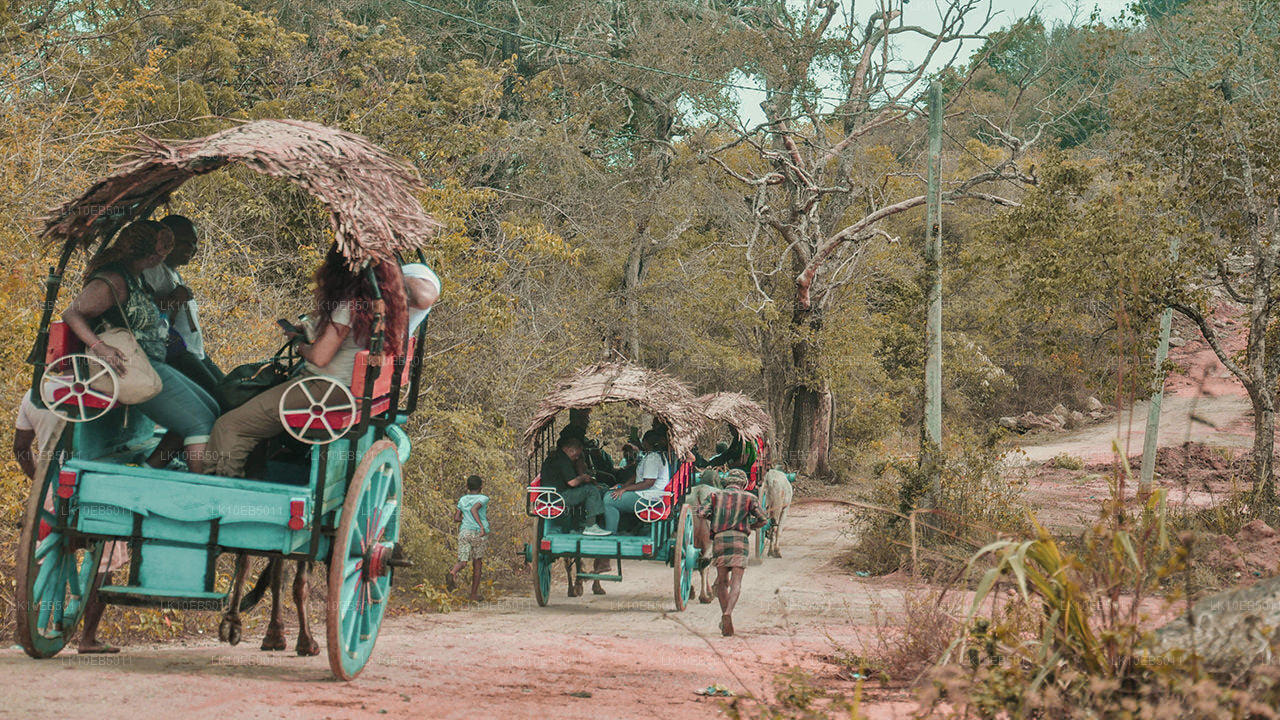 Känslan av världen (14 dagar)