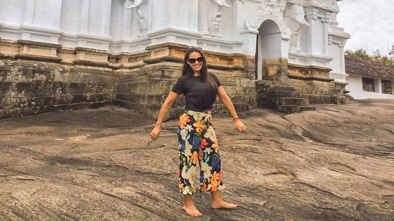 Känslan av världen (14 dagar)