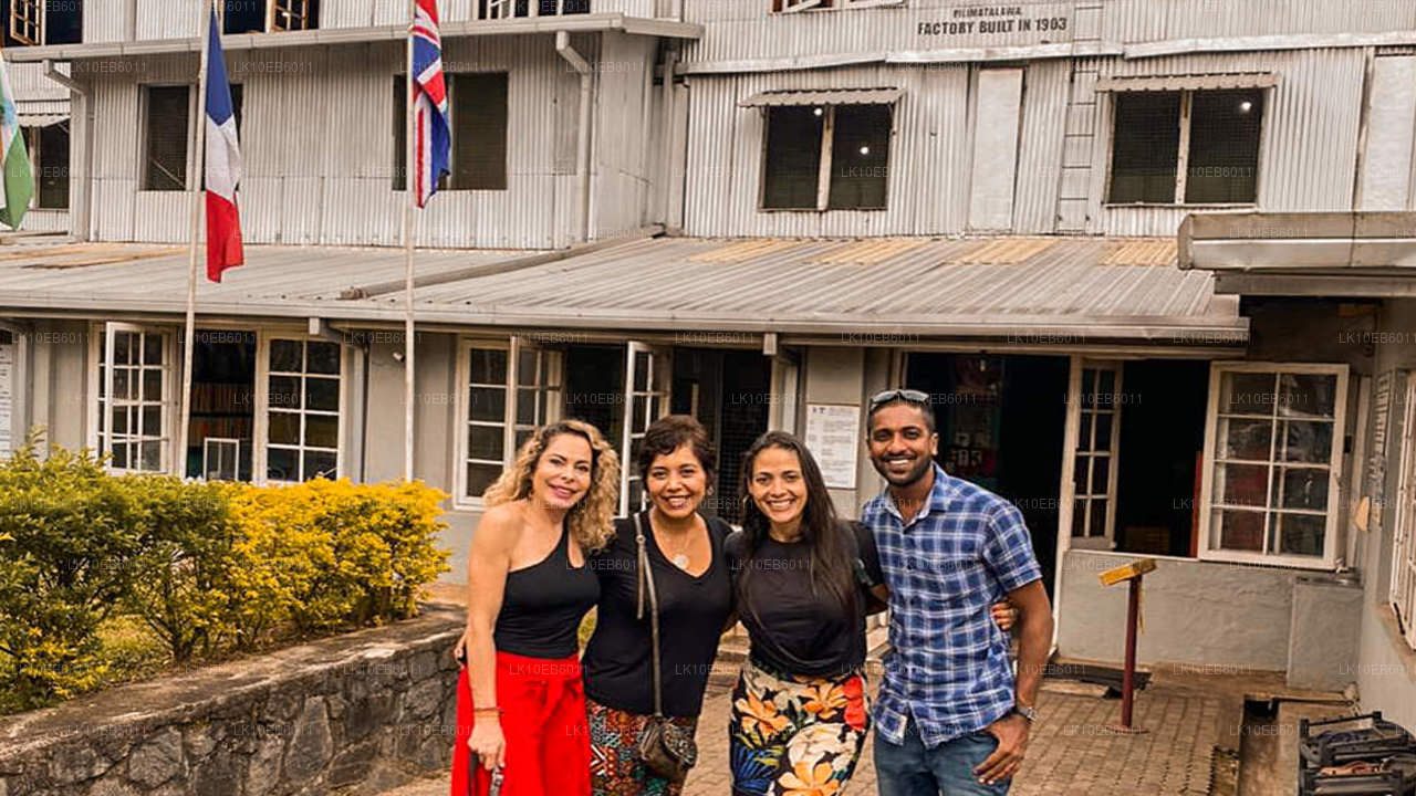 Andlig frihet (14 dagar)