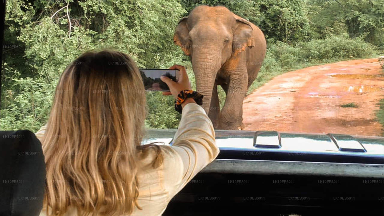 Andlig frihet (14 dagar)