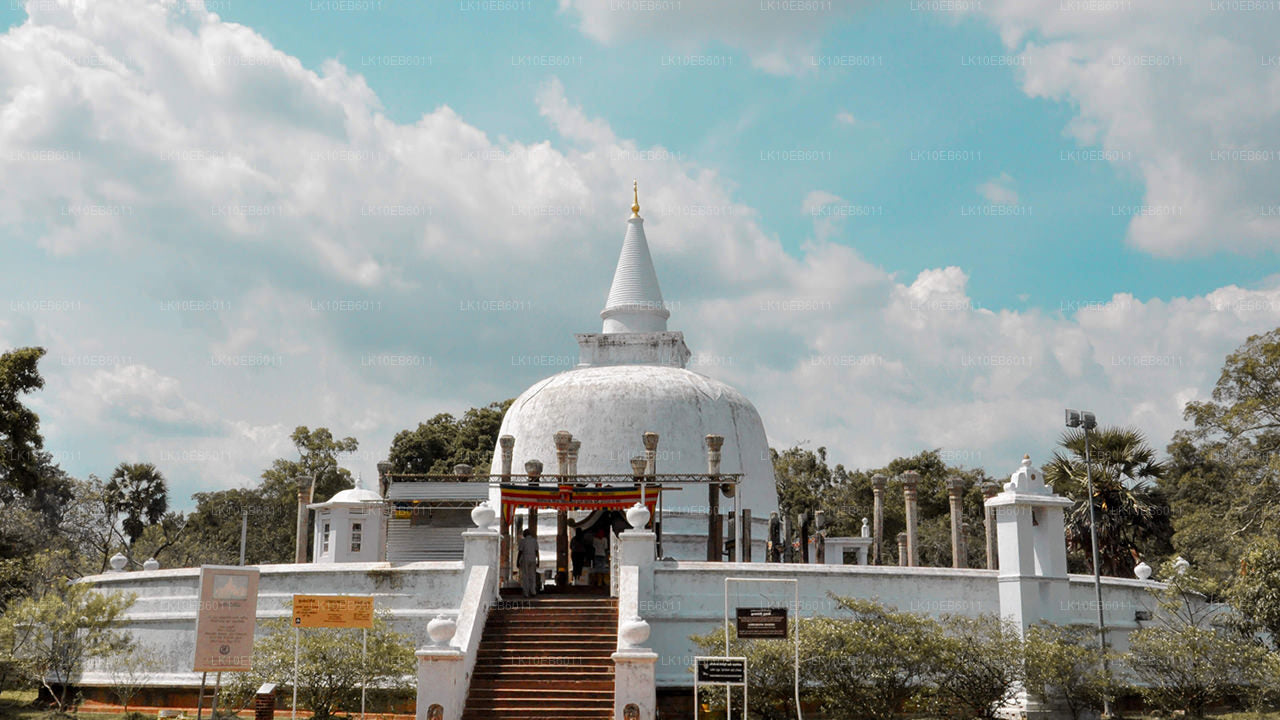 Andlig frihet (14 dagar)