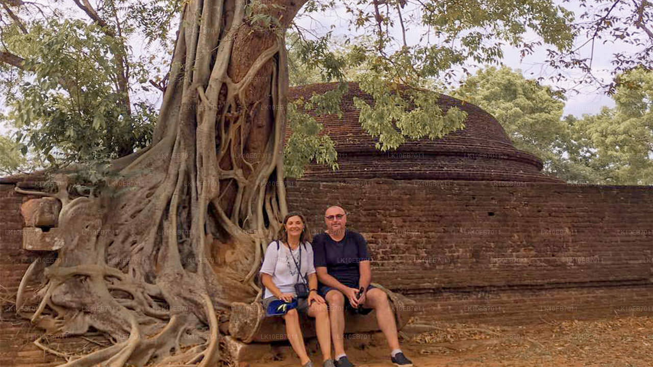 Forntida kungadömen och det bästa av öst (14 dagar)