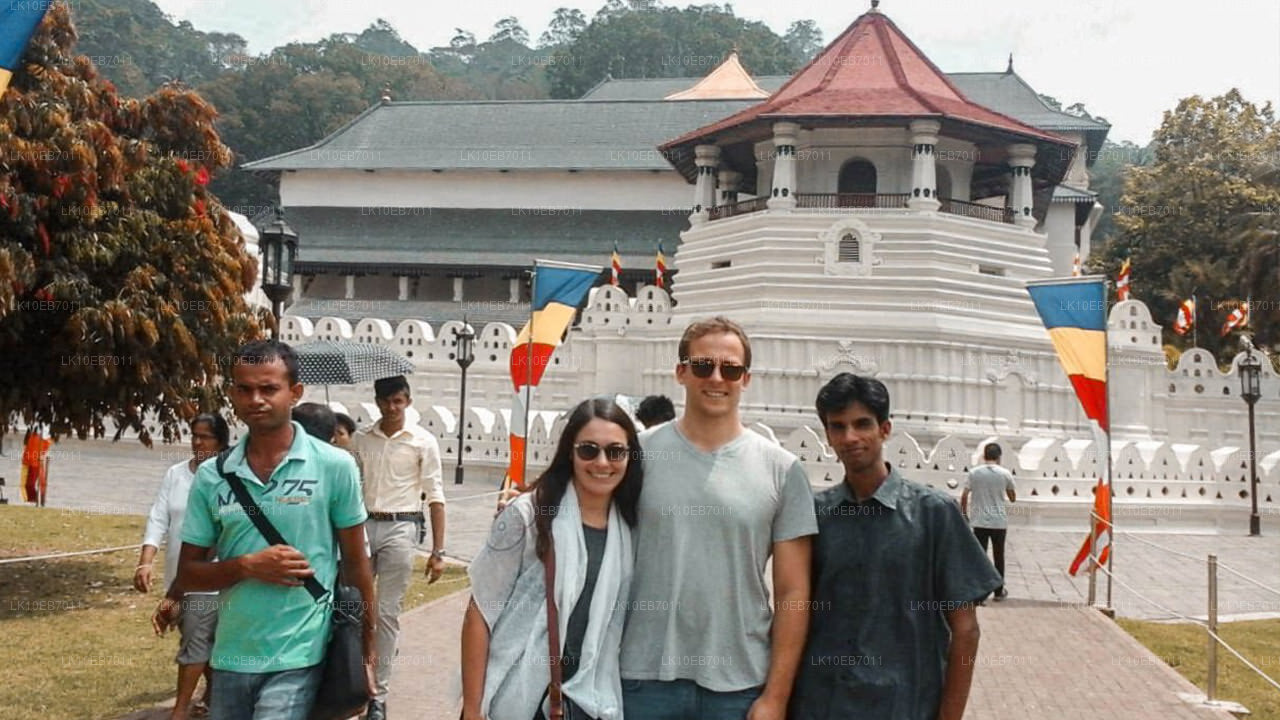 Forntida kungadömen och det bästa av öst (14 dagar)