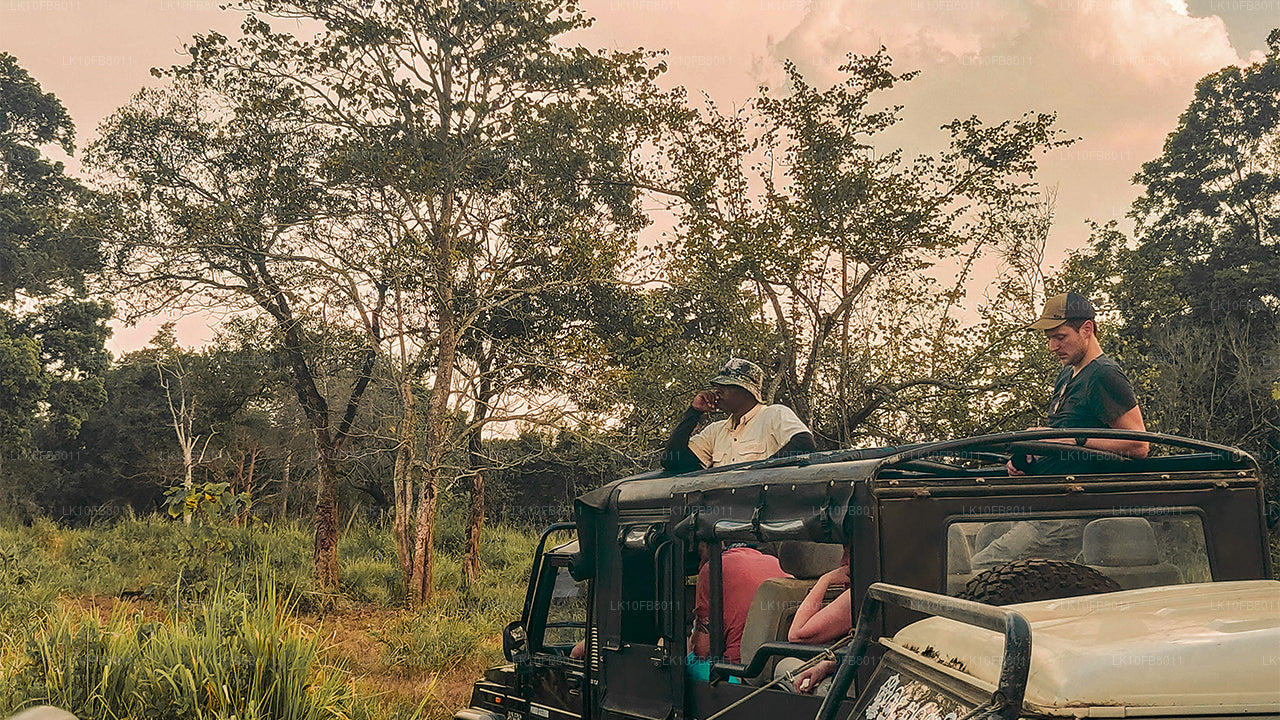 Dolda resor (15 dagar)