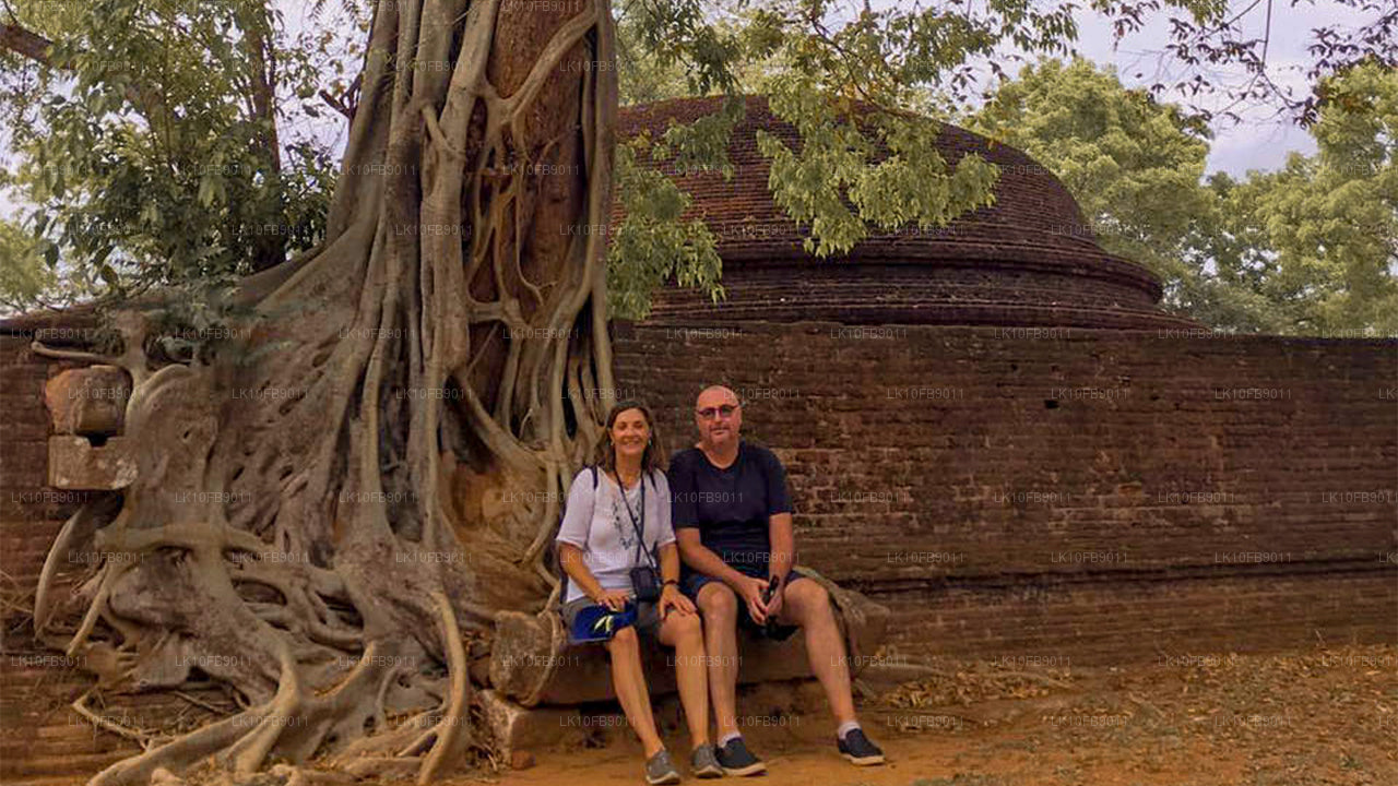 Lättnad och avkoppling (15 dagar)