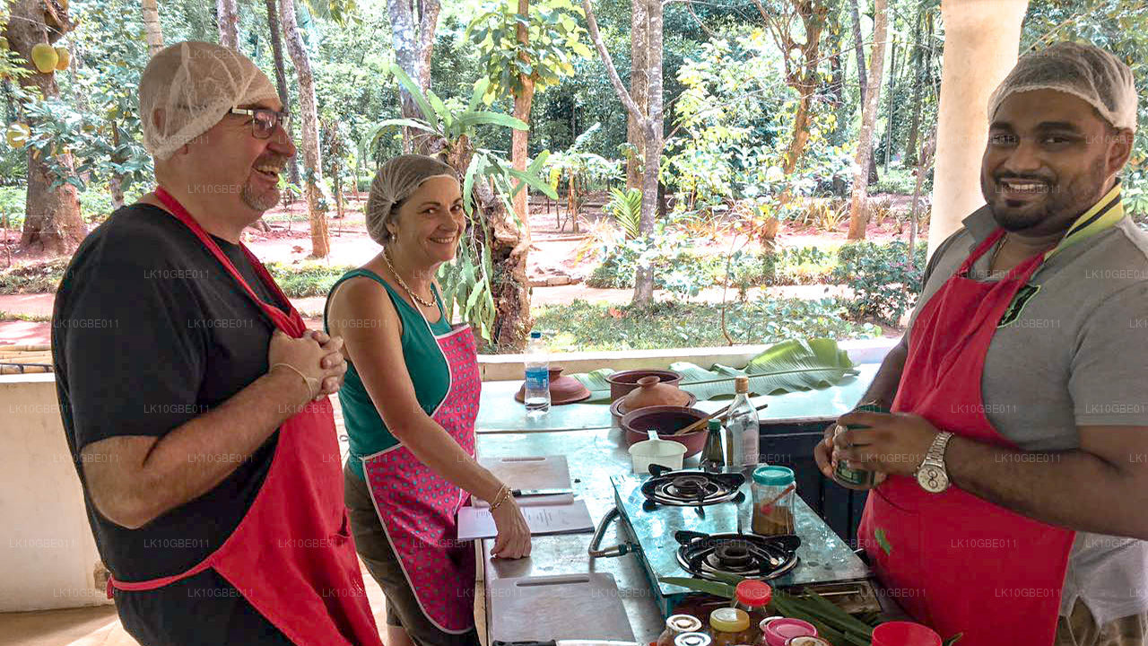 Den finaste av Ceylon (16 Dagar)