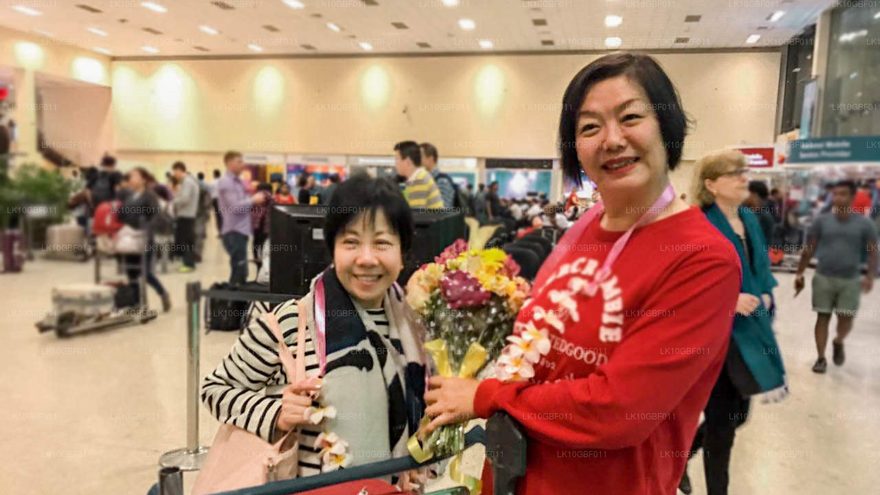 Upptäck Serendib (16 Dagar)