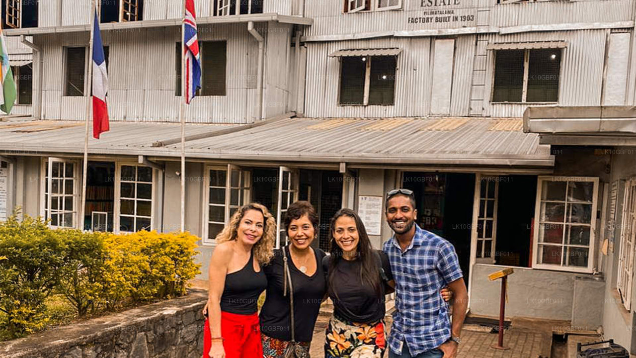 Upptäck Serendib (16 Dagar)