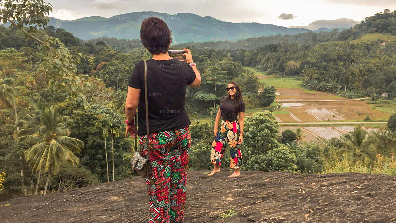 Upptäck Serendib (16 Dagar)