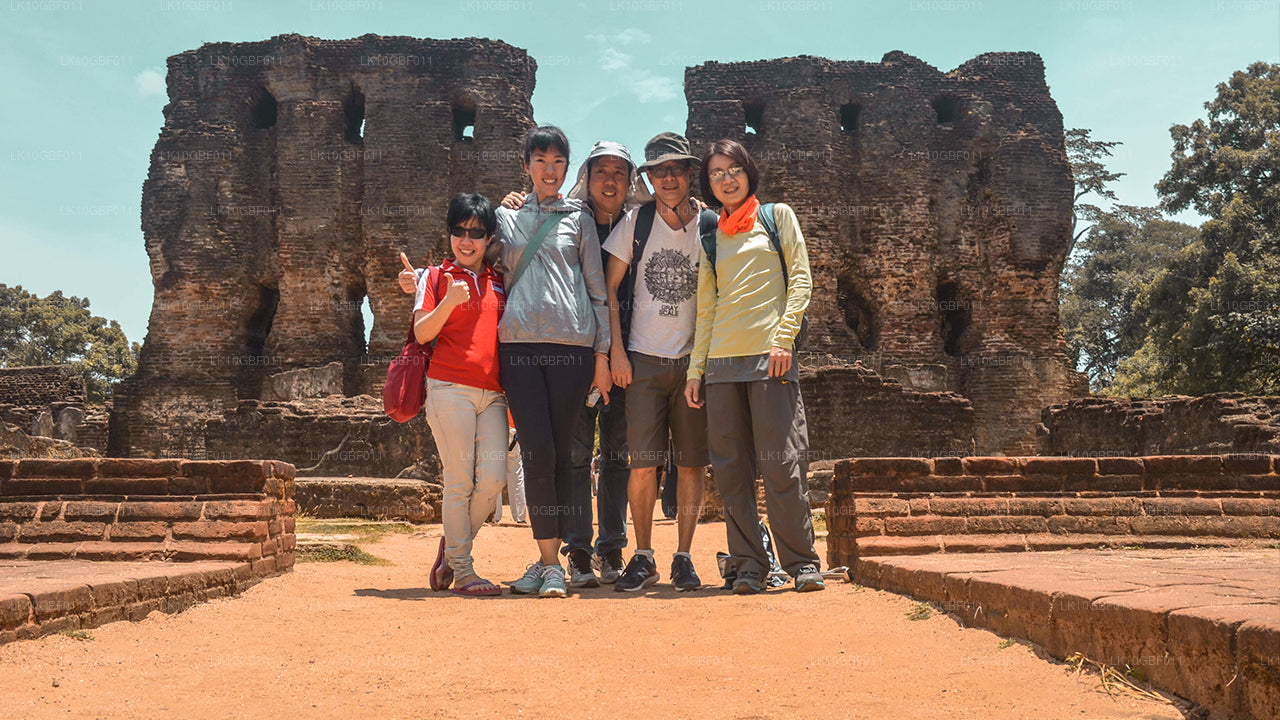 Upptäck Serendib (16 Dagar)