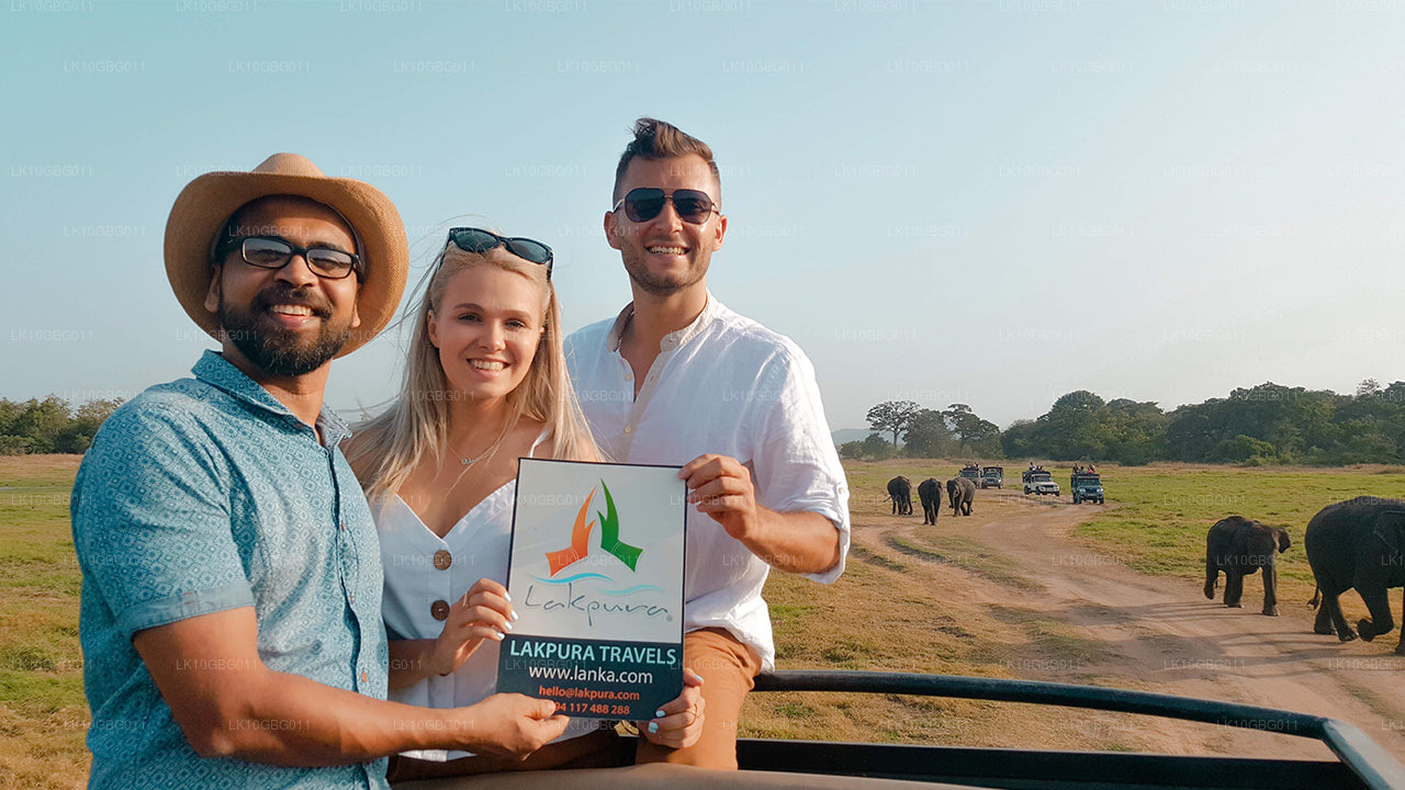 Juveler av Sri Lanka (16 dagar)