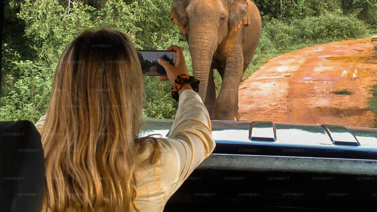 Ultimate Sri Lanka (17 Dagar)