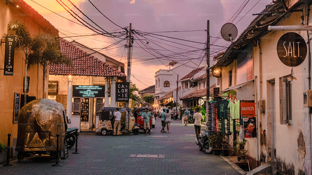 Dyk på spänning (20 dagar)