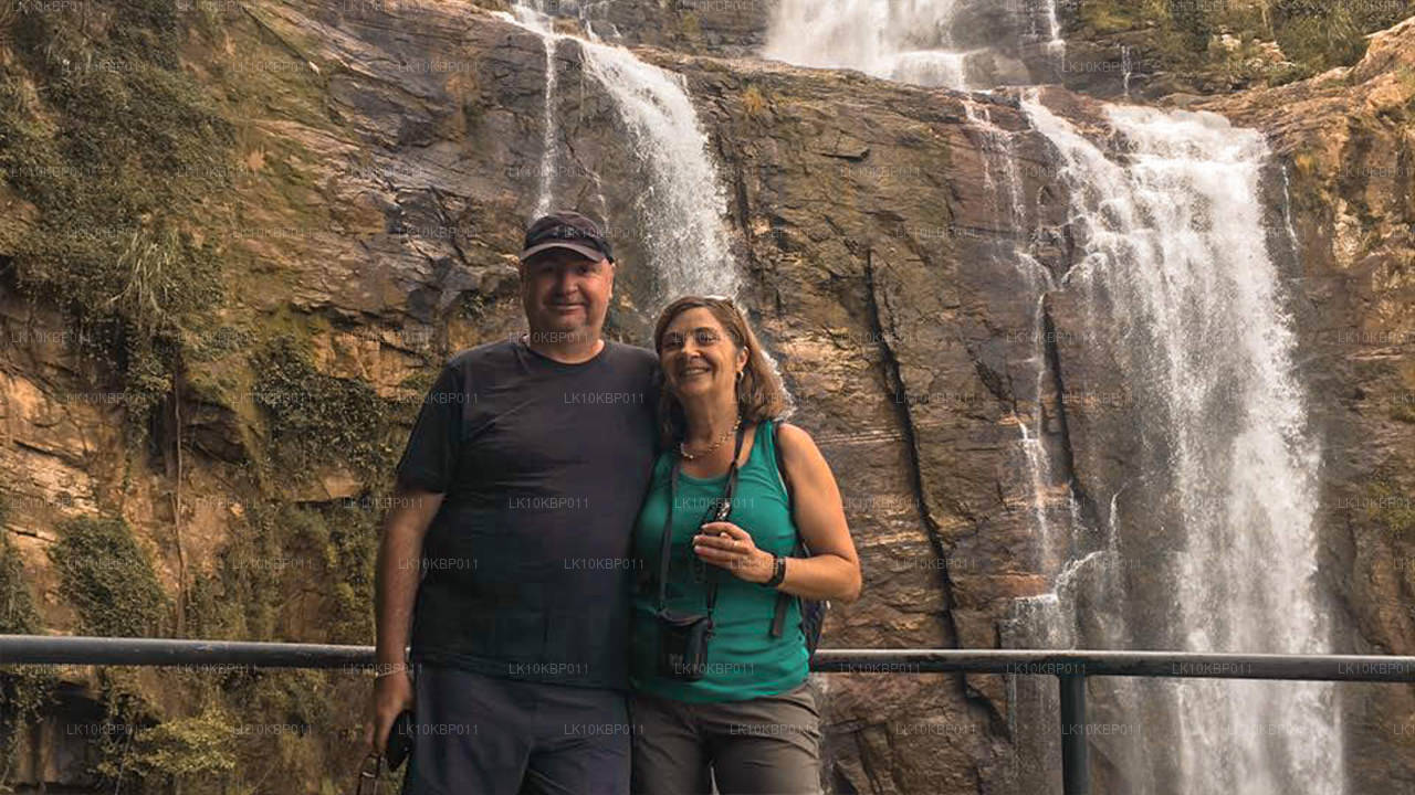 Dyk på spänning (20 dagar)