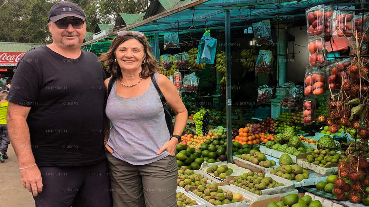 Dyk på spänning (20 dagar)