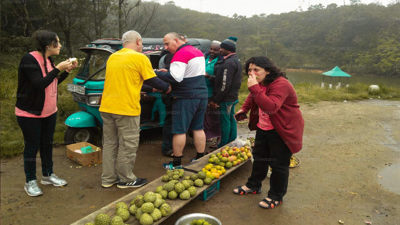 Classic Sri Lanka (20 Dagar)