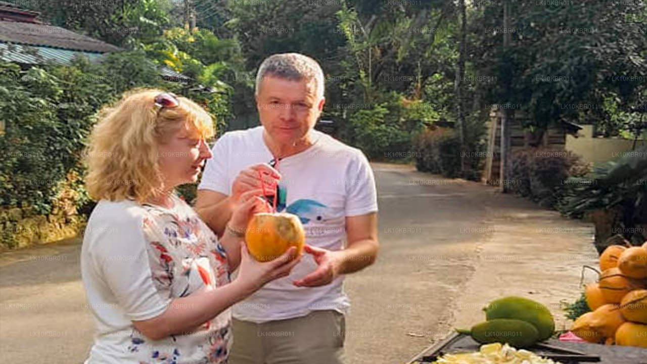 Färger på Sri Lanka (20 dagar)