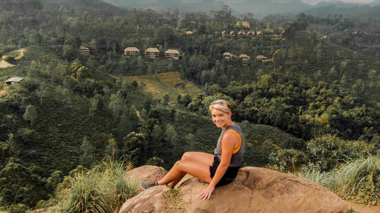 Färger på Sri Lanka (20 dagar)