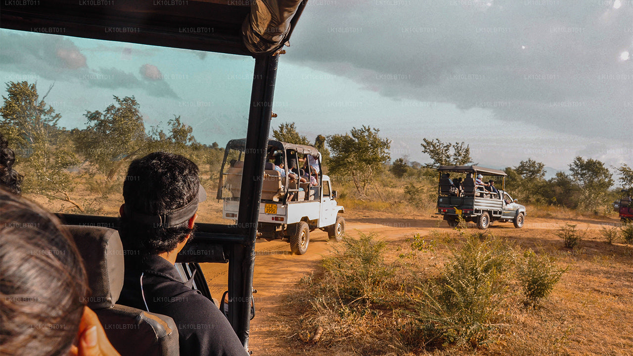 Trail runt pärlan (21 dagar)