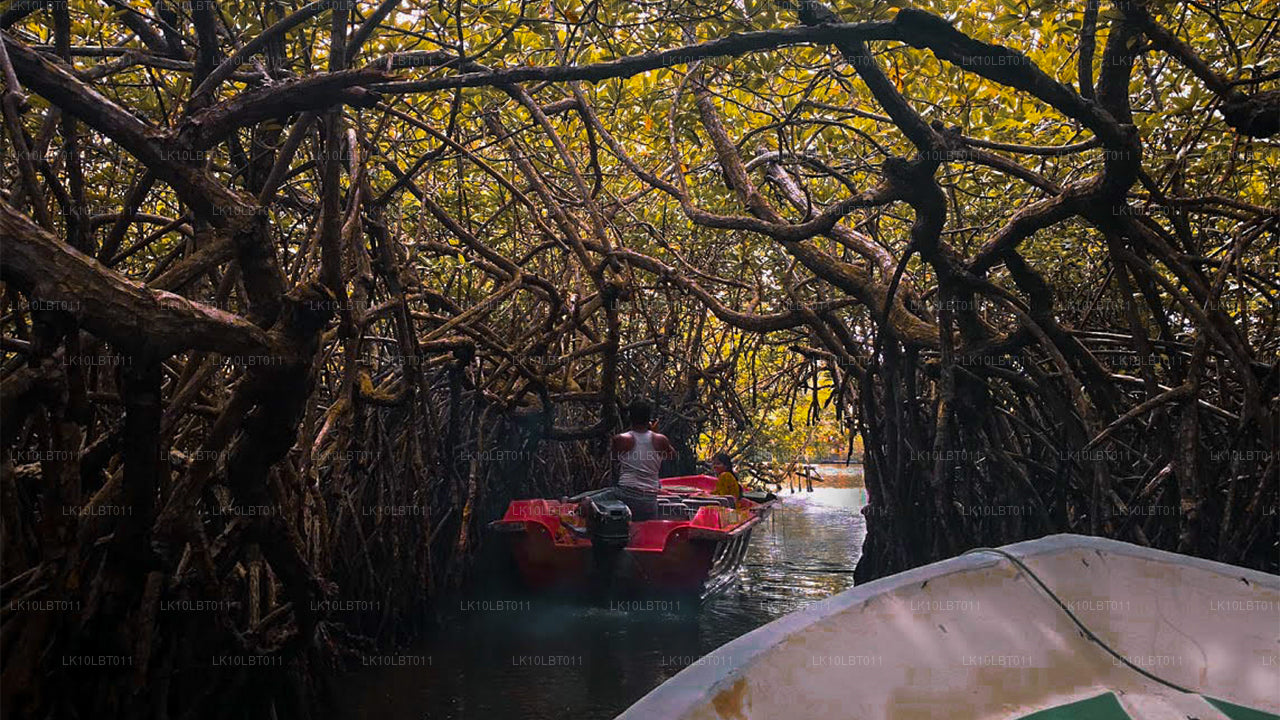 Trail runt pärlan (21 dagar)