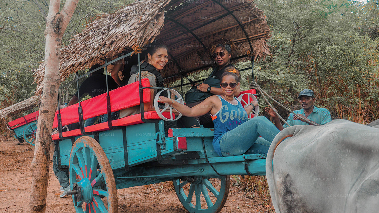 Glamour av Sri Lanka (22 Dagar)