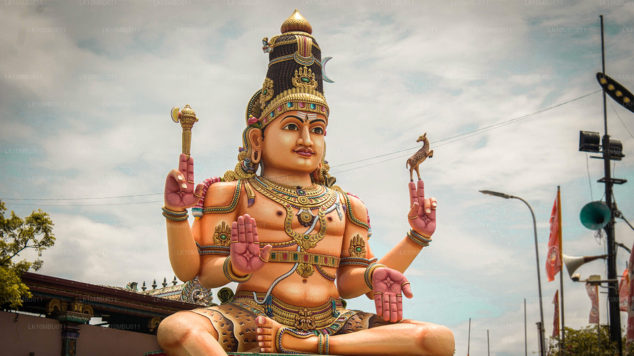 Glamour av Sri Lanka (22 Dagar)