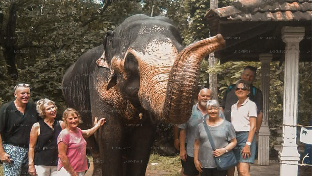Tempel och natur (22 Dagar)