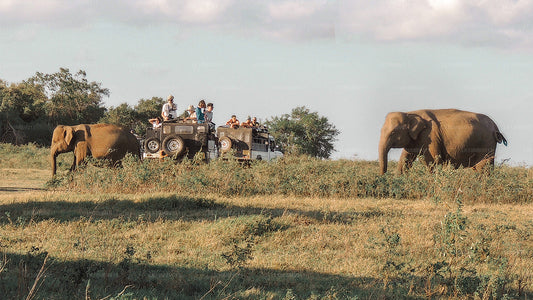 Tempel och natur (22 Dagar)