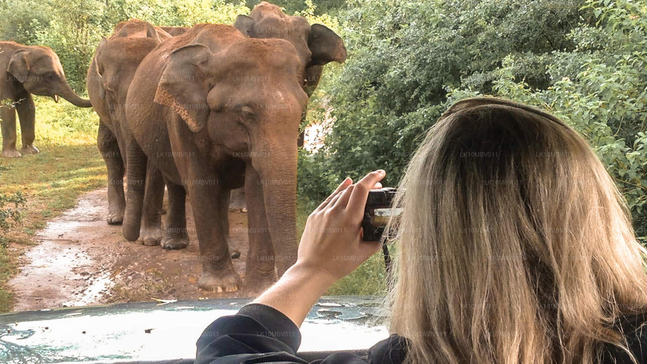 Tempel och natur (22 Dagar)