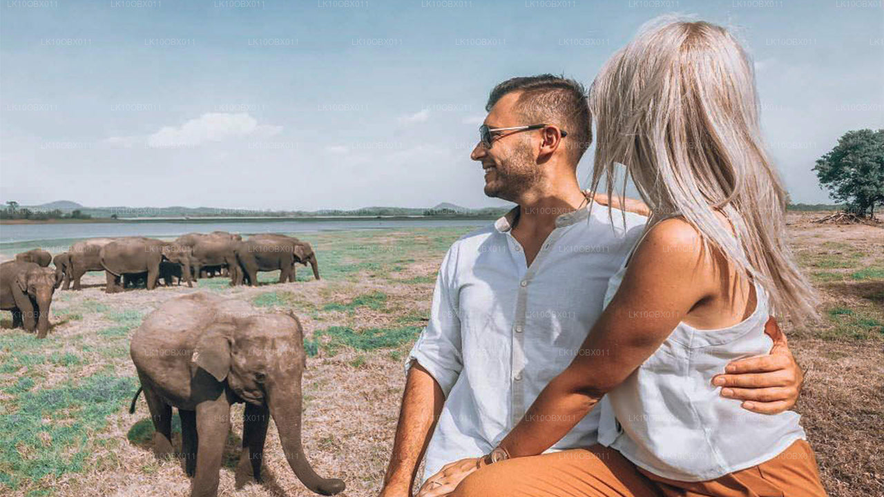 Fantastiska Sri Lanka (24 dagar)