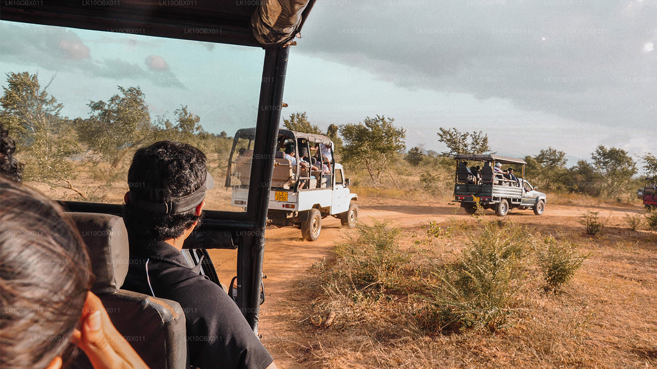 Fantastiska Sri Lanka (24 dagar)