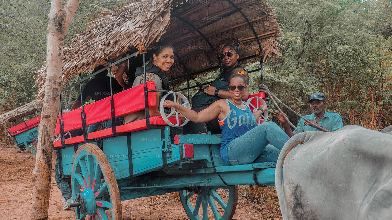 Fantastiska Sri Lanka (24 dagar)