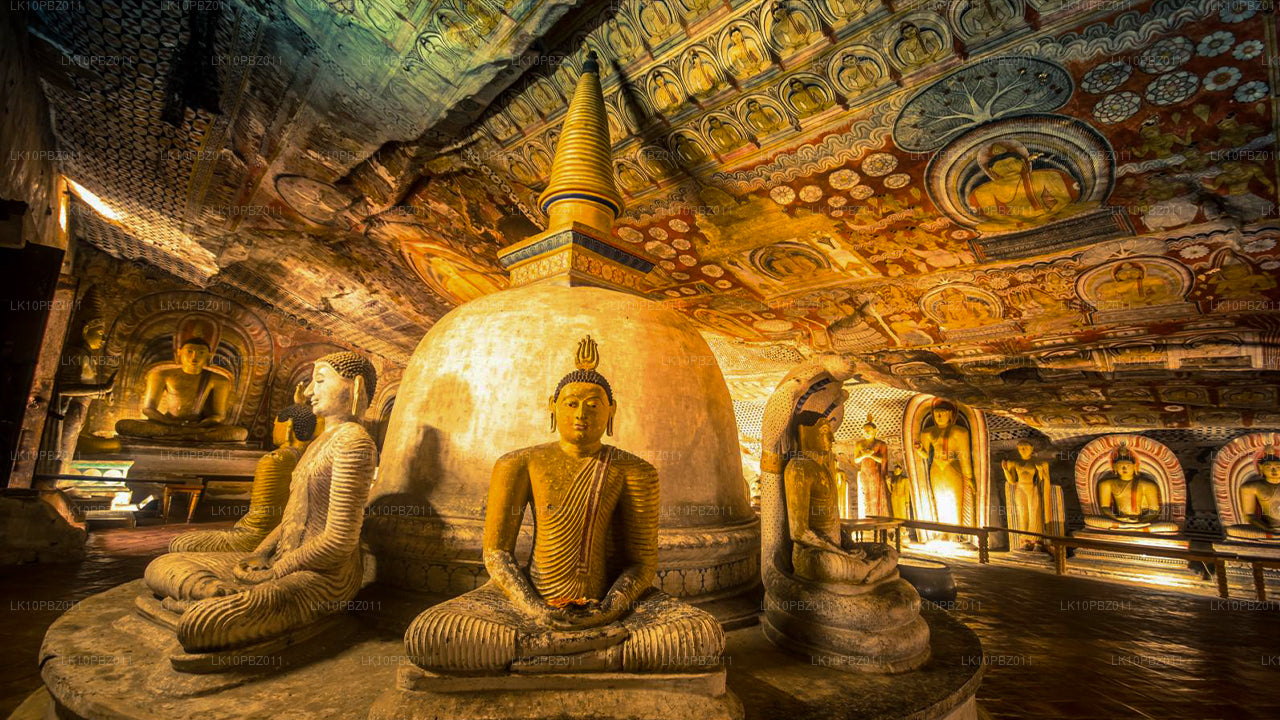 Fantastiska Sri Lanka (25 Dagar)